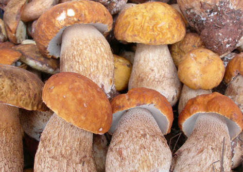 What to Buy in Zhangjiajie