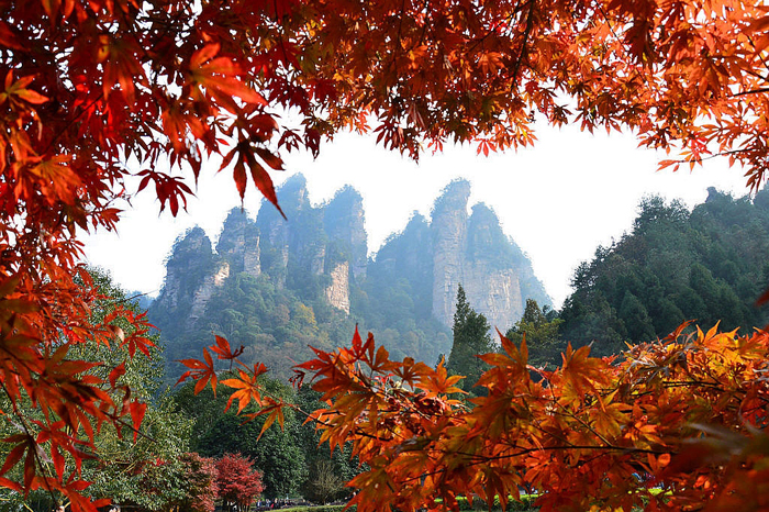 Zhangjiajie Weather and Climate 