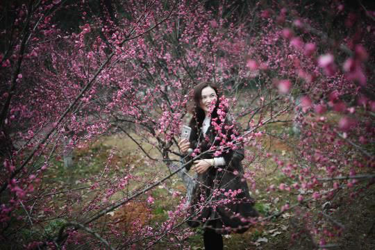 Wintersweet Flowers Bloom at the Hunan Forest Botanical Garden