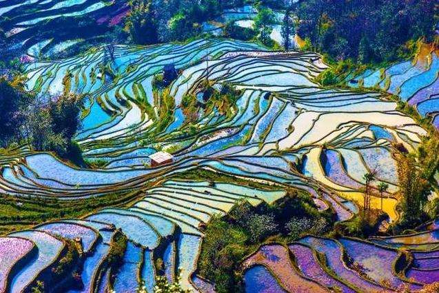 Ziquejie Terraced Fields Included in FAO Agricultural Cultural Heritage List
