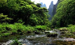 Day Tour for Golden Whip Stream and Yellow Stone Village