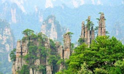 Day Tour for Zhangjiajie National Forest Park and Longest Glass Bridge