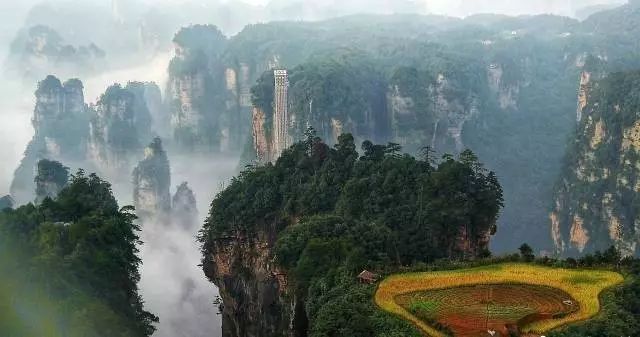 Zhangjiajie turns to yellow color in autumn season